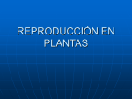 reproducción en plantas
