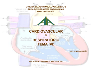 Presentación de PowerPoint