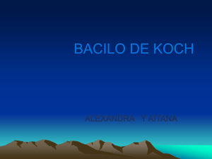 BACILO DE KOCH