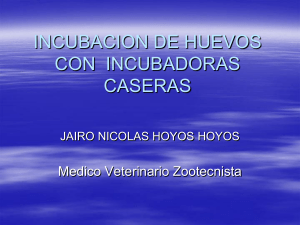 Incubación - WordPress.com