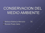 comservacion del medio ambiente