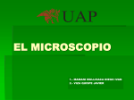 Microscopio - WordPress.com