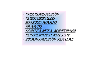 desarrollo embrionario