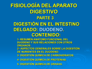 fisiología del aparato digestivo parte iii