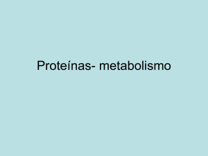Proteínas- metabolismo