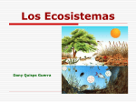 Introducción al concepto de Ecosistema