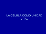 LA CÉLULA COMO UNIDAD VITAL