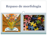 Curso_Morfología