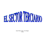 El sector terciario-COMERCIO