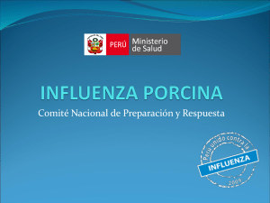 influenza porcina