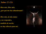 Salmo 22 (23)