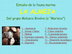 Mariscos y Almejas