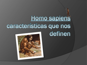Homo sapiens - hylaylasgrullas