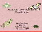 animales_invertebrados_y_vertebrados1032