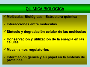 Diapositiva 1 - quimicabiologicaunsl