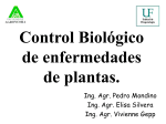 Control Biológico de enfermedades de plantas.