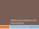 FISIOLOGIA DIGESTIVA DE CRUSTÁCEOS
