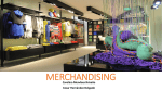 PresentaciÃ³n_Merchandising