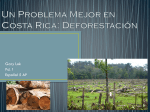 Un Problema Mejor en Costa Rica: Deforestación