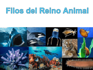 Animales - WordPress.com