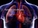 GRUPO 7 Aparato circulatorio