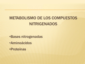 Tema 4 Metabolismo de aminoacidos 1 parcial 2017