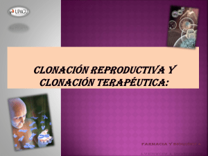 Clonación Reproductiva y Clonación Terapéutica: Dos vertientes