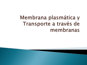 II. Membrana plasmática y transporte celular