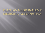 Plantas medicinales y medicina alternativa