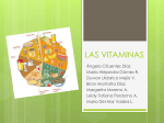 las vitaminas - elmundoseguncabeto