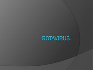Adenovirus y rotavirus