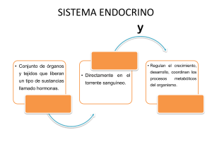 Sistema Neuroendocrino
