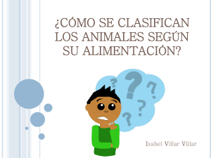 ¿cómo se clasifican los animales según su