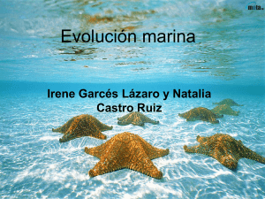 Evolución marina