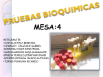 Diapositiva 1 - labacteriologia