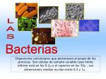 Pared Bacteriana