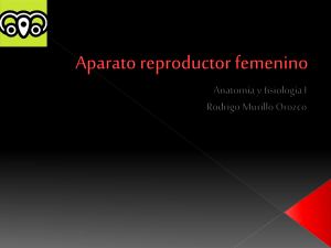 Aparato reproductor femenino