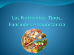 2. Los Nutrientes. Tipos, Funciones e Importancia