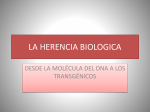 LA HERENCIA BIOLOGICA