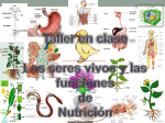 Los seres vivos y la función de nutrición
