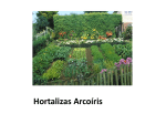 Hortalizas Arcoiris