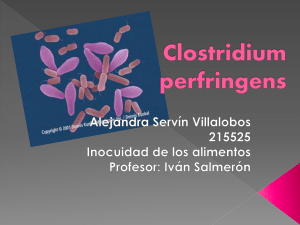 Clostridium perfringens - FCQ