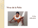 Virus de la Polio