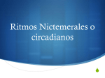 Ritmos Nictemerales o circadianos