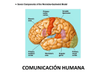 06. Comunicacion humana