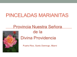 Marianitas Divina Providencia