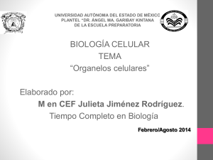 organelos celulares