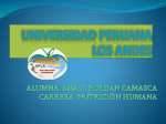 Universidad peruana los andes