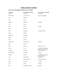 Medical Spanish Vocabulary