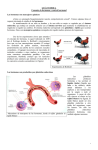 GUÍA TEORICA Concepto de hormonas y control